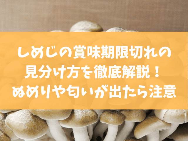 しめじの賞味期限切れの見分け方を徹底解説 ぬめりや匂いが出たら注意 きになる